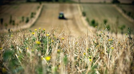Environnement : préserver les sols grâce aux matériels certifiés « éco-épandage » - Alim'agri | Pour innover en agriculture | Scoop.it