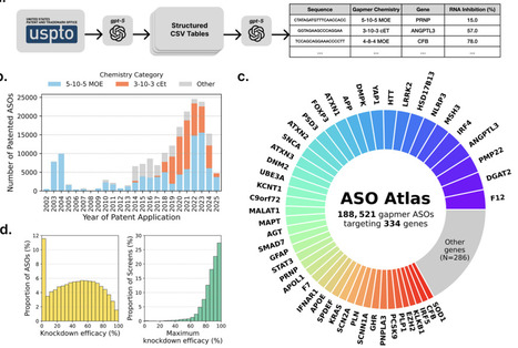 Accurately modelling RNase H-mediated antisense oligonucleotide efficacy | brvbi | RMH | Scoop.it
