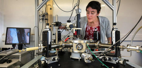 L'Acad&eacute;mie des sciences a remis le prix Ir&egrave;ne Joliot-Curie 2021 de la Femme scientifique de l'Ann&eacute;e &agrave; Julie Grollier, pour ses travaux entre physique et intelligence artificielle | EntomoScience | Scoop.it