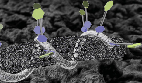 New biosensor melds carbon nanotubes, DNA | KurzweilAI | information analyst | Scoop.it