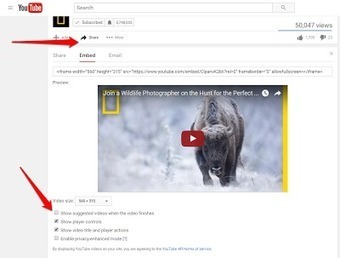 5 Ways to Show YouTube Videos Without Related Content | TIC & Educación | Scoop.it