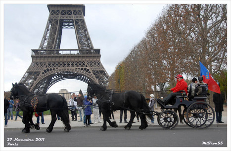 Chevaux à Paris c'est une fois par an | Salon du Cheval | Scoop.it
