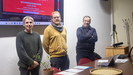 Saint-Girons. Retour d&rsquo;exp&eacute;rience d&rsquo;un voyage en chine pour des planteurs de th&eacute; du Couserans | Kunming-Yunnan | Scoop.it