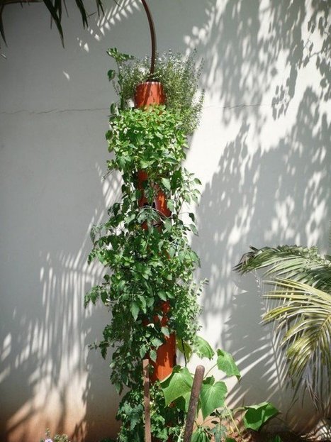 DIY : vertical garden | 1001 Gardens | 1001 Gardens ideas ! | Scoop.it