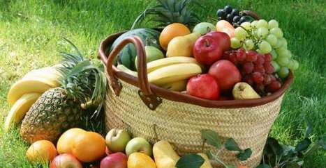 Come costruire una cantina sotterranea fai-da-te per conservare frutta e verdura | Alimentazione Naturale, EcoRicette Veg e Vegan | Scoop.it