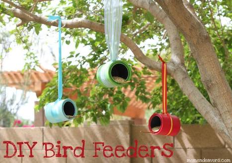 DIY Bird Feeders | 1001 Recycling Ideas ! | Scoop.it