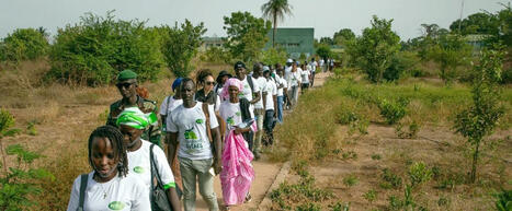 Caravane de l’agroécologie : 20 jours pour transformer l’agriculture sénégalaise | | Questions de développement ... | Scoop.it