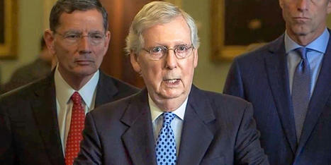 Kentucky columnist buries Mitch McConnell and his 'flea-infested' Republican Party - RawStory.com | Operation Deimos | Scoop.it