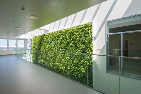 Living Walls for Health and Well-being | Architecture, Design & Innovation | Scoop.it