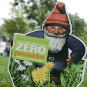 Enquête Zéro pesticides - Université Angers | ESPACES VEGETALISES URBAINS | Scoop.it