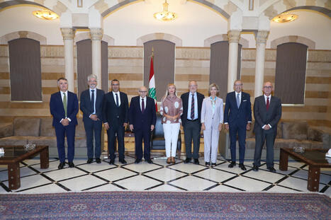 Strategic Dialogue in LEBANON: The CIHEAM Strengthens its Cooperation | CIHEAM Press Review | Scoop.it