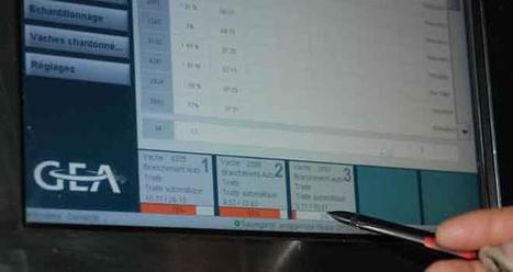 Sm@rt Elevage Un pilotage plus fin des troupeaux et des &eacute;levages | Elevage et num&eacute;rique | Scoop.it