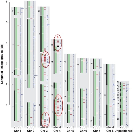 PLoS Pathogens: Comparative Genomics Yields Insights into Niche Adaptation of Plant Vascular Wilt Pathogens | Plant Pathogenomics | Scoop.it