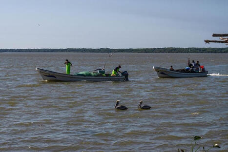 Gulf cleanup efforts nearly complete, but origin of oil slick still unclear / le 17.03.2026 | Pollution accidentelle des eaux (+ d&eacute;chets plastiques) | Scoop.it