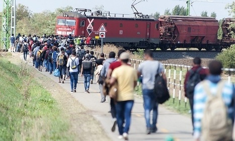 The global tech community tackles the refugee crisis | Peer2Politics | Scoop.it