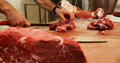 Moins de bœuf français et toujours plus d’importations dénoncent les éleveurs | Actualité Bétail | Scoop.it
