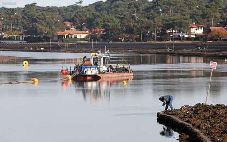 Lac d’Hossegor (40) : le Conseil d’État rejette le pourvoi de la Sepanso | Landes | Scoop.it