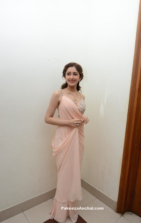 Sayesha Saigal in Plain Powdered Pink Saree with Sleeveless Embroidery work Blouse | Indian Fashion Updates | Scoop.it