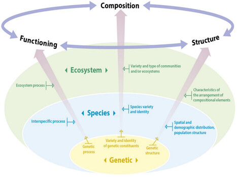 [Article scientifique en Open Acces] Effects of Agricultural Practices on Biodiversity: A Review - Babin - 2026 - Journal of Sustainable Agriculture and Environment | ECOLOGIE - ENVIRONNEMENT | Scoop.it