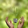 Comportements et tendances
