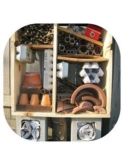 Insect Hotels: The Hidden Worlds in Your Garden | Upcycled Garden Style | Scoop.it