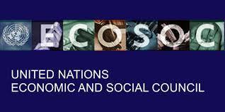 E-Brochure ECOSOC | United Nations, UNGA, UNDESA, UNDSPD, ECOSOC, UNSDN, UNNGLS, | Scoop.it