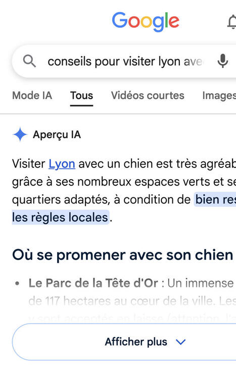 AI-Overviews : quel impact r&eacute;el pour les sites de destinations ? | eTourism Trends and News | Scoop.it