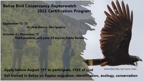 Raptor Watch 2022 Certification Program | Cayo Scoop!  The Ecology of Cayo Culture | Scoop.it