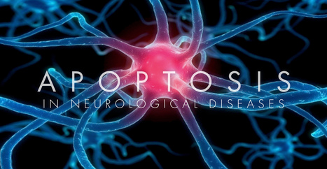 Apoptosis in Neurological Diseases | El Paso, TX Chiropractor | Call: 915-850-0900 | Neuropathy "The Painful Enigma" | Scoop.it