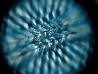 When You Wash Your Clothes, You Release Microplastic Fibers Into the Oceans | Sandy Beach Ecology & Management | Scoop.it