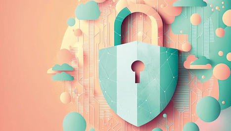 Guide de la sécurité des données personnelles : nouvelle édition 2024 | Bulletin des bibliothèques de France | InfoDoc - Information Scientifique Technique | Scoop.it