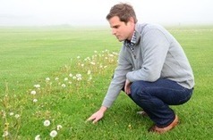Guidelines for organic and reduced-risk lawn care | Gardening Life | Scoop.it