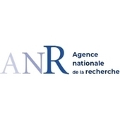 Simulation d’angiographies virtuelles à partir de modèles vasculaires 3D et 3D+t | ANR | Le fil d'actualités de l'URCA | Scoop.it