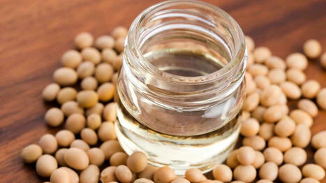 Agroalimentaire. Appuyée par le fonds Re-Sources, l’huilerie Elayon rachète Biolintec | ITERG - Veille sectorielle | Scoop.it