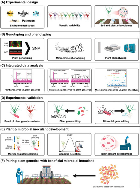 A roadmap for plant&ndash;microbiome breeding to enhance plant stress tolerance | Tin | RMH | Scoop.it