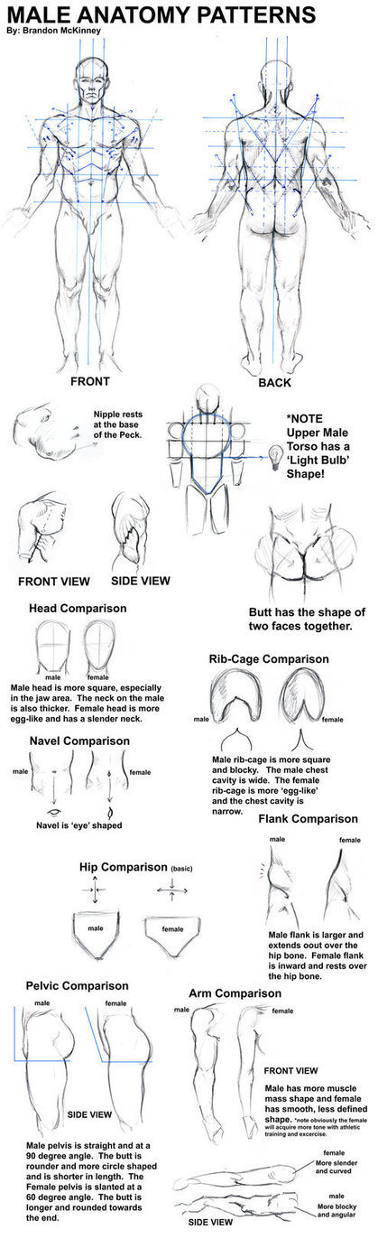 Male Anatomy Patterns Drawing Reference | Drawing References and Resources | Scoop.it