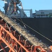 Chile, Brazil and Uruguay among the world’s leading exporters of wood chips | Timberland Investment | Scoop.it