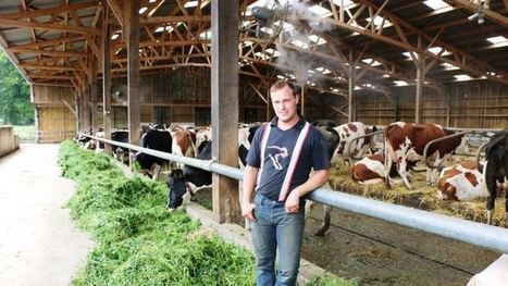 Traitement de l'eau : Vaches plus calmes et productivité qui coule de source - WebAgri | Lait de Normandie... et d'ailleurs | Scoop.it