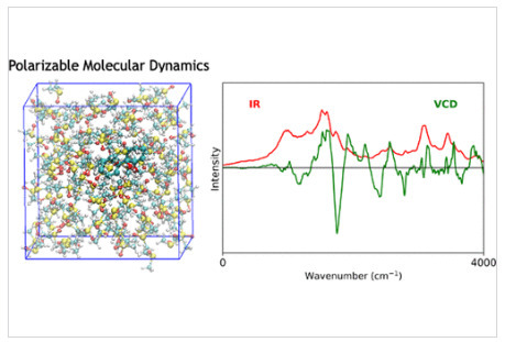 ICP science -&nbsp;Modeling the Vibrational Circular Dichroism Spectroscopy of Phenylcyclohexanediol Solvated in Dimethyl Sulfoxide Using Polarizable Molecular Dynamics | Infos Lab' mars 2026 | Scoop.it