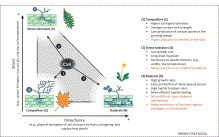 Trends in Plant Science - A trait-based framework to understand life history of mycorrhizal fungi | Plant-Microbe Symbiosis | Scoop.it