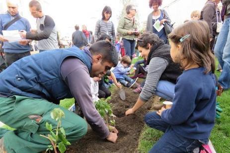Saint-Ouen : le square revit gr&acirc;ce au jardin | Paysage - Agriculture | Scoop.it