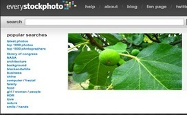 An Excellent Search Engine for Free Educational Images ~ Educational Technology and Mobile Learning | Information and digital literacy in education via the digital path | Scoop.it