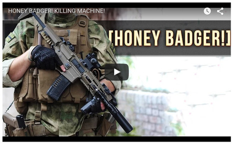 (NOT!) HONEY BADGER! - AMOEBA KILLING MACHINE! - Matt the Musketeer on YT! | Thumpy's 3D House of Airsoft™ @ Scoop.it | Scoop.it