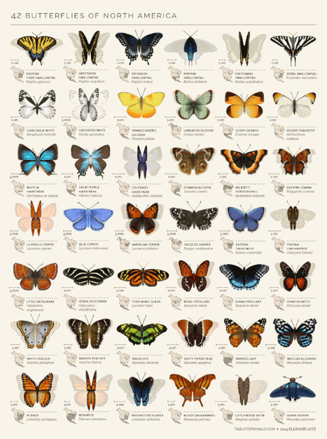 #biodiversity #pollinationassessment | IPBES | Insect Archive | Scoop.it