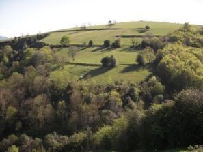 Paysage et foncier | Paysage - Agriculture | Scoop.it