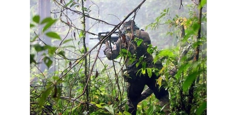Exp&eacute;dition in&eacute;dite CNRS/L&eacute;gion &eacute;trang&egrave;re aux confins de l'Amazonie guyanaise | Biodiversit&eacute; | Scoop.it