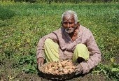 Inde – Des paysans poursuivis pour la culture d’une pomme de terre | Questions de développement ... | Scoop.it