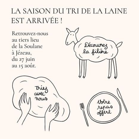 La saison du tri de la laine est arrivée à Jézeau | Vallées d'Aure & Louron - Pyrénées | Scoop.it