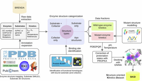 A structure-oriented kinetics dataset of enzyme-substrate interactions | Sdat | RMH | Scoop.it