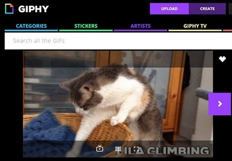 [outils] Giphy lance GIF Maker pour créer un GIF animé à partir d'une vidéo | Geeks | Scoop.it